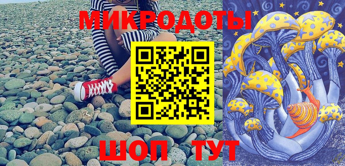 Каменка  Галлюциногенные грибы MAGIC MUSHROOMS  Вход с VPN 