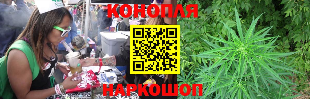 Конопля тримм  Канабис планчик  Вход с VPN  Шишки марихуана White Widow  Каменка 